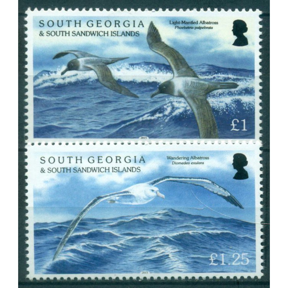 Albatros
